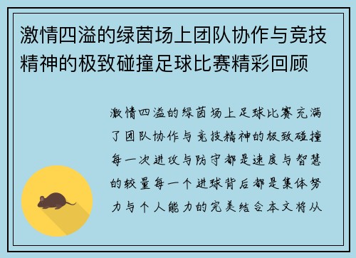 激情四溢的绿茵场上团队协作与竞技精神的极致碰撞足球比赛精彩回顾