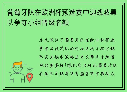 葡萄牙队在欧洲杯预选赛中迎战波黑队争夺小组晋级名额