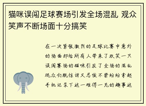 猫咪误闯足球赛场引发全场混乱 观众笑声不断场面十分搞笑