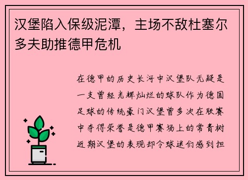 汉堡陷入保级泥潭，主场不敌杜塞尔多夫助推德甲危机