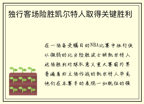 独行客场险胜凯尔特人取得关键胜利