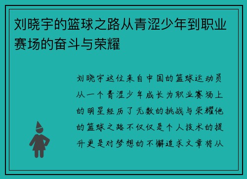 刘晓宇的篮球之路从青涩少年到职业赛场的奋斗与荣耀