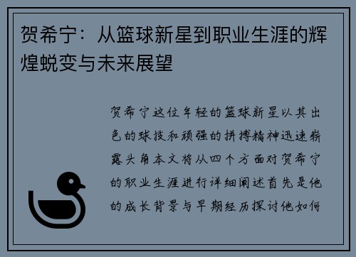 贺希宁：从篮球新星到职业生涯的辉煌蜕变与未来展望