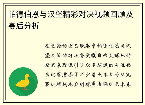 帕德伯恩与汉堡精彩对决视频回顾及赛后分析